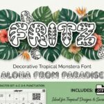 Fritz Font - Featured Image