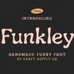 Funkley Font - Featured Image
