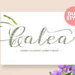 Galea Script Font - Featured Image