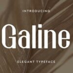Galine Font - Featured Image