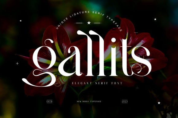 Gallits Font - Featured Image