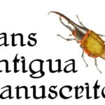 Gans Antigua Manuscrito Font - Featured Image