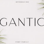 Gantic Font - Featured Image