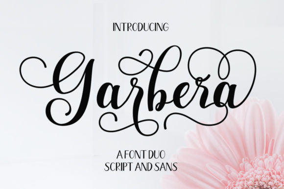 Garbera Duo Font - Featured Image