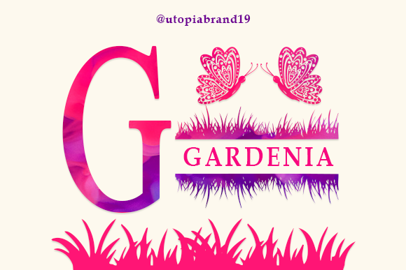 Gardenia Font - Featured Image