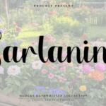 Garlaning Font - Featured Image