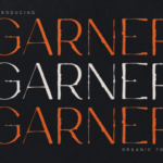 Garner Font - Featured Image