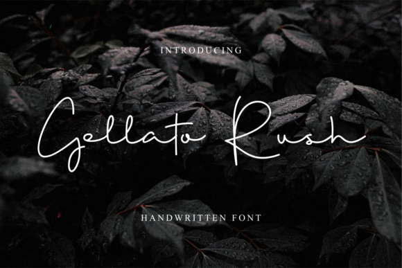Gellato Rush Font - Featured Image