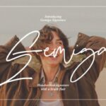 Gemiga Font - Featured Image