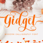 Gidget Font - Featured Image