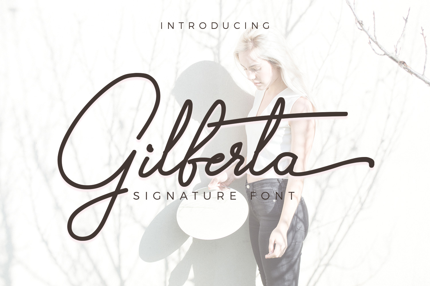 Gilberta Font - Featured Image