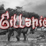 Gillanie Font - Featured Image