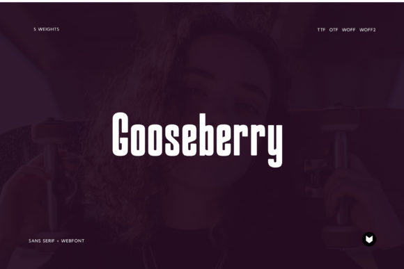 Gooseberry Font - Featured Image