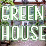 Green House Font - Featured Image
