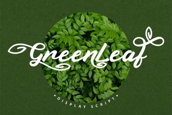 Green Leaf Font - Featured Image