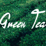 Green Tea Font - Featured Image