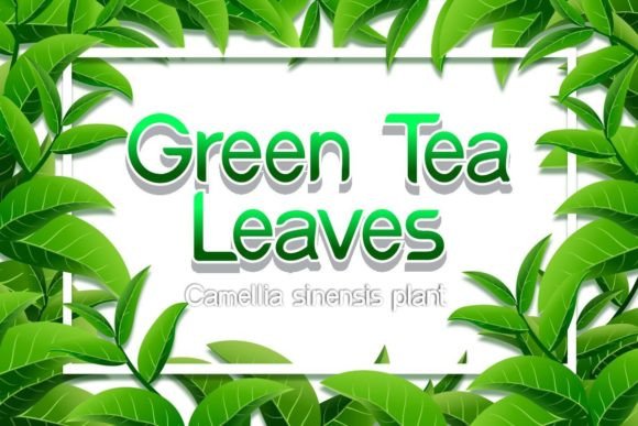 Green Tea Leaves Font - Featured Image