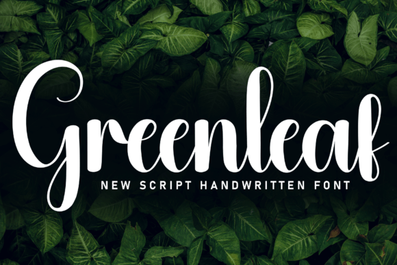 Greenleaf Font - Featured Image