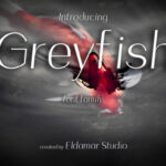 Greyfish Font - Featured Image