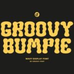 Groovy Bumpie Font - Featured Image