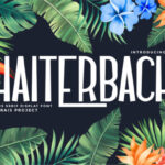 Haiterbach Font - Featured Image