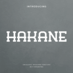 Hakane Font - Featured Image