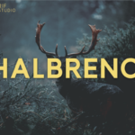 Halbreno Font - Featured Image
