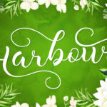 Harbour Font - Featured Image