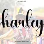 Harley Font - Featured Image