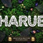 Harue Font - Featured Image