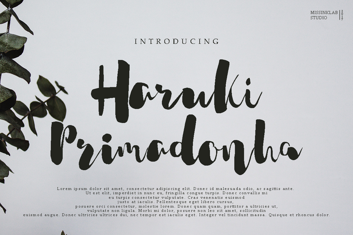 Haruki Primadonha Font - Featured Image