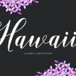 Hawaii Font - Featured Image