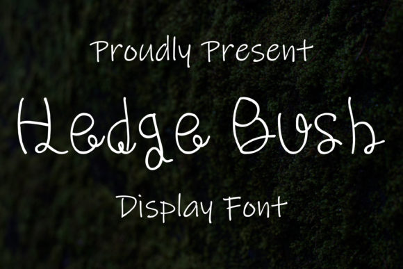 Hedge Bush Font - Featured Image