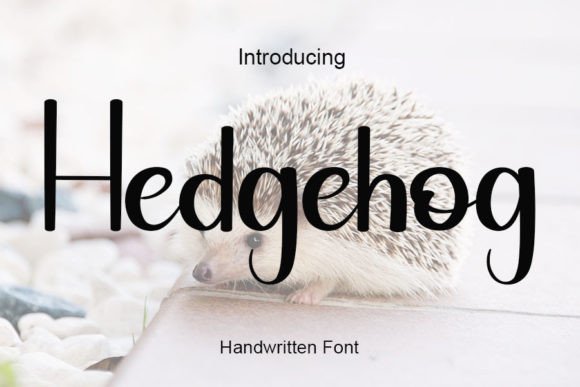 Hedgehog Font - Featured Image