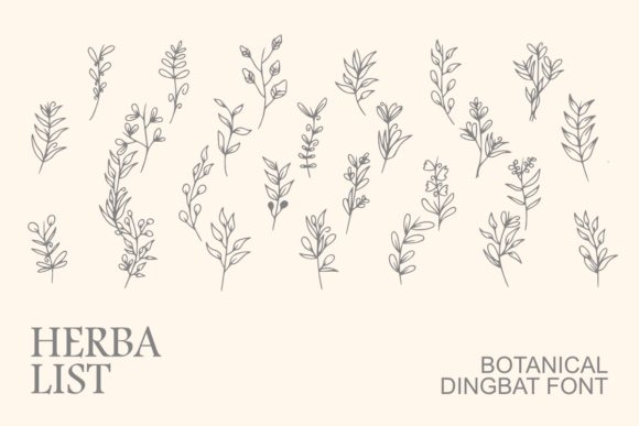 Herbalist Font - Featured Image