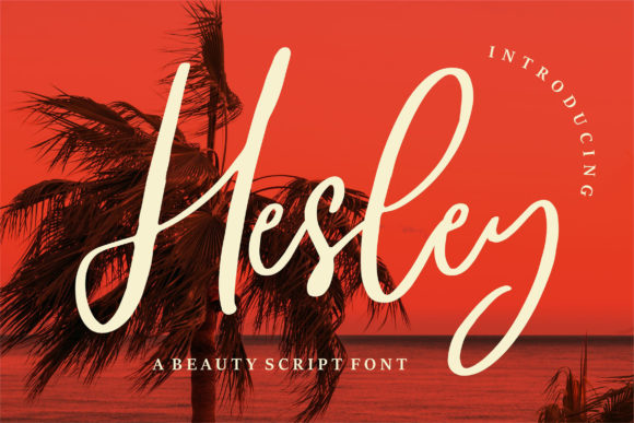 Hesley Font - Featured Image