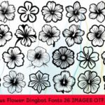 Hibiscus Flower Font - Featured Image