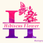 Hibiscus Flower Monogram Font - Featured Image