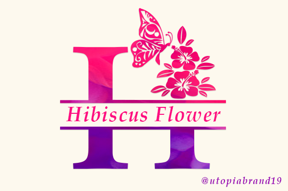 Hibiscus Flower Monogram Font - Featured Image