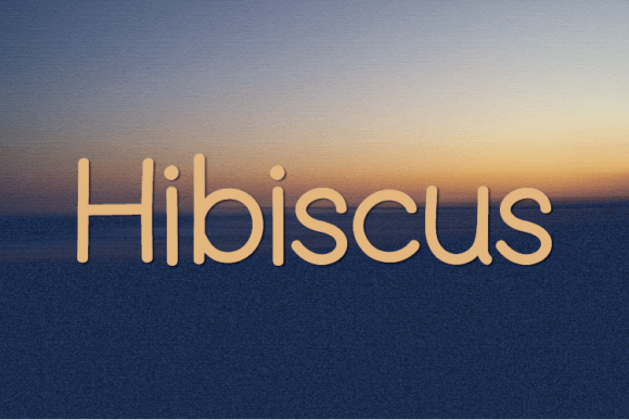 Hibiscus Font - Featured Image