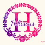 Hibiscus Monogram Font - Featured Image