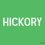 Hickory Font - Featured Image