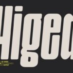 Higed Italic Font - Featured Image